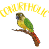 Perruche Molina Perroquet Perruche oiseau