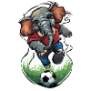 soccer soccer ball elephant
