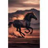 Hester Hester Ridning Hesteridning Hopping