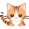 süße baby Katze