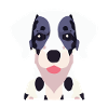 Dalmatian Dog Black White