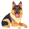 German Shepherd Lying Large Dog
