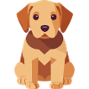 Chiot Labrador Chien mignon