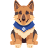 German Shepherd Puppy Cute
