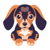 Dachshund Dachshund Puppy Big Ears