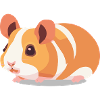 Cochon d’Inde Mignon Marron Blanc