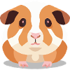 Cochon d’Inde Mignon Marron Blanc