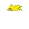 sleeping duck