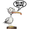 nope be seagull