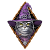 Cat Witch