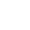 Race Car