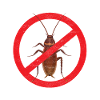 Pest Control Exterminators