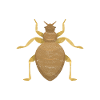 Pest Control Exterminators