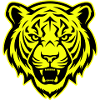 Tiger Head Portrait Icon