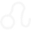 Zodiac Sign Leo