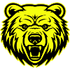 Bär Kopf Porträt Symbol