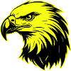Eagle Head Portrait Icon