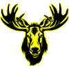 Moose Head Portrait Icon
