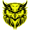 Owl Head Portrait Icon