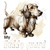 dachshund, Dackel, süßer Hund