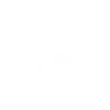 Avion