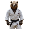 Judoka Bear 02