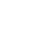 The Evolution Of Running