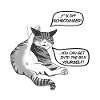 Chat Schrödinger