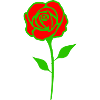 Rose 02