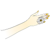 Hand with flower