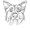 Line Art Australian Cattle Dog