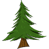 Fir | Christmas Tree | Pine Tree
