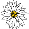 white flower