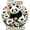 I Love Pandas