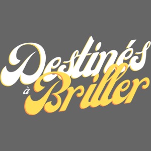 TS3 DestinésàBriller