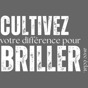 TS2 DestinésàBriller