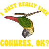Molina Parakeet Parrot Bird Parakeet