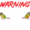 Molina Parakeet Parrot Bird Parakeet