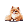 Pomeranian Pomeranian Dog Cute Gift