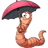 Earthworm Umbrella