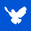 Peace Dove of Peace