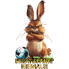 Football Bunny Rabbit Saying