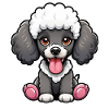 Doux caniche N&B
