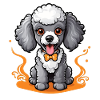 Dapper Poodle