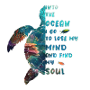 Into the ocean