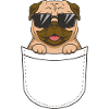 Pug Pocket Sonnenbrille