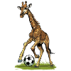 Fußball Soccer Ball Giraffe