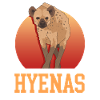 Hyène Hyène Cadeau Hyène Tachetée