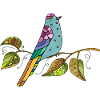 Bunter Vogel