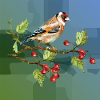 Bunter Vogel